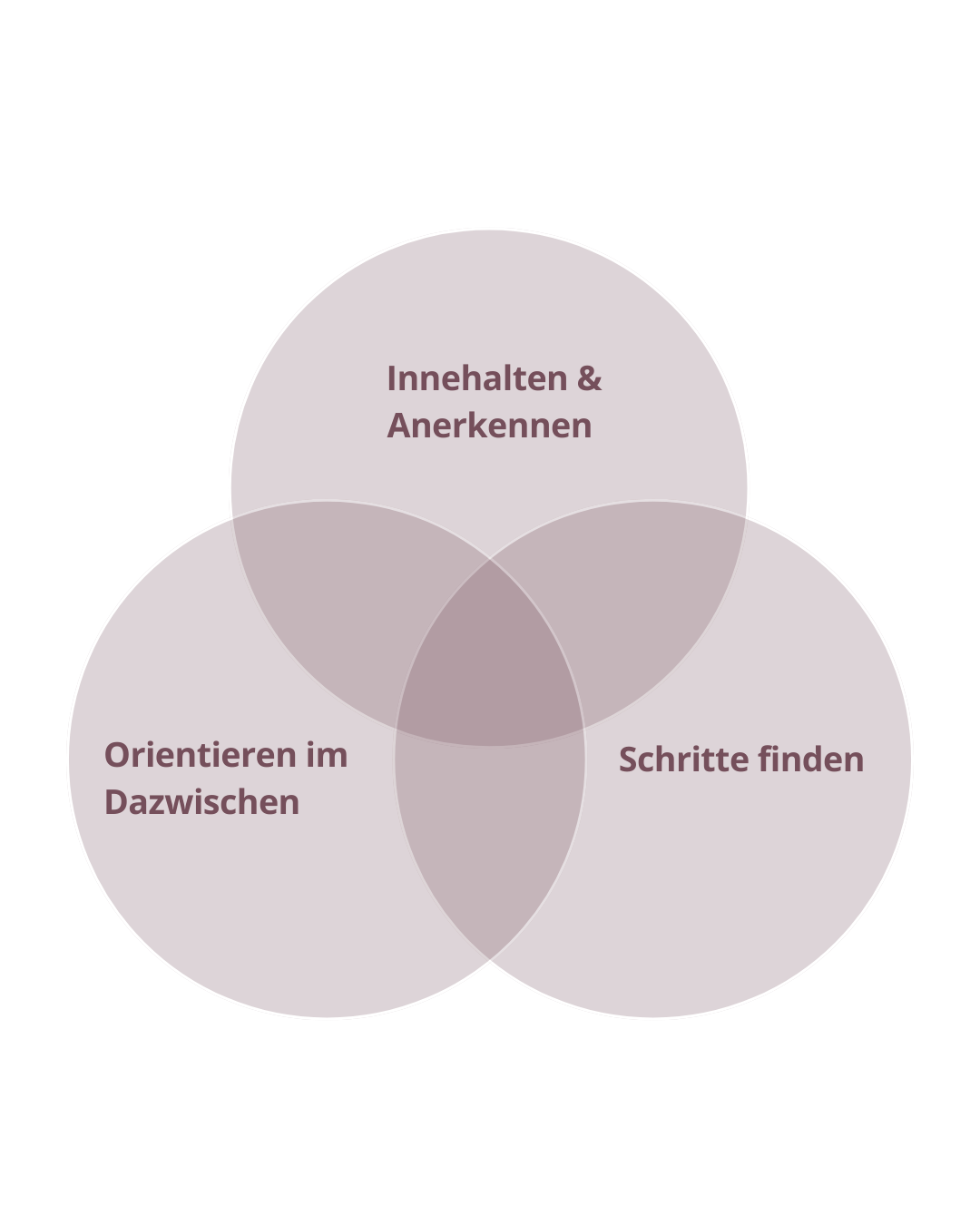 Beige Minimalistisch Kreise Diagramm Gewohnheiten Coaching Instagram Post (2)